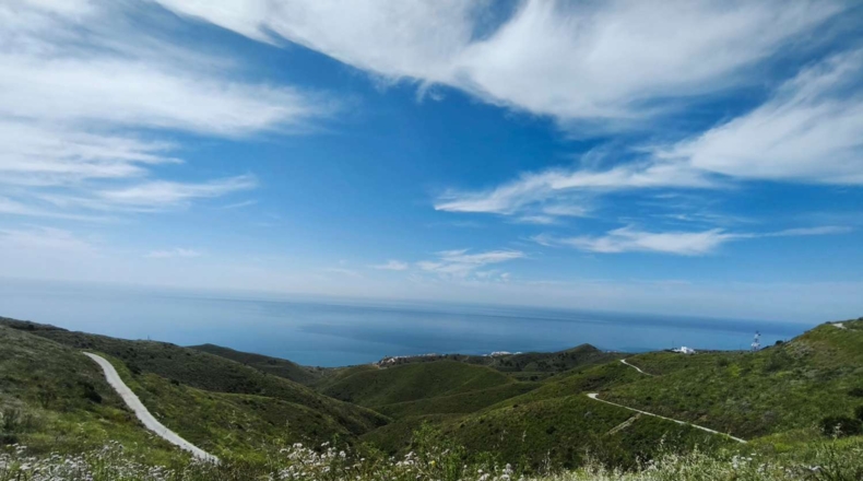 Malaga - Torrox - 40000m2