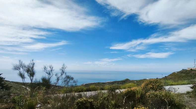 Malaga - Torrox - 40000m2