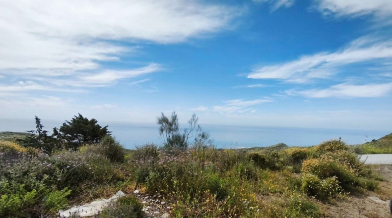 Malaga - Torrox - 40000m2