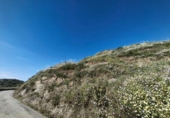 Terreny no urbanitzable en venda a Torrox ref.: TR233483 foto