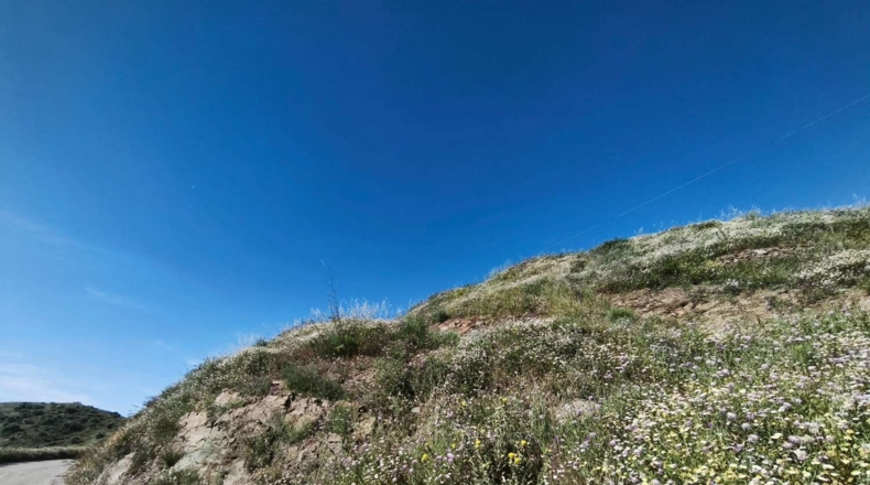 Malaga - Torrox - 2500m2