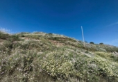 Terreny no urbanitzable en venda a Torrox ref.: TR233483 foto