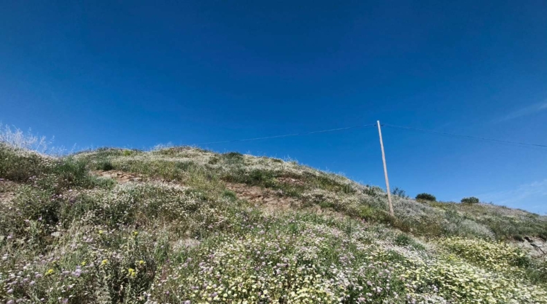 Malaga - Torrox - 2500m2