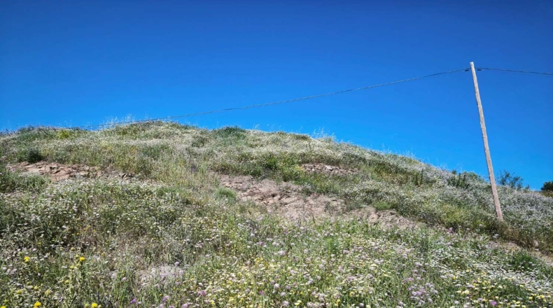 Malaga - Torrox - 2500m2