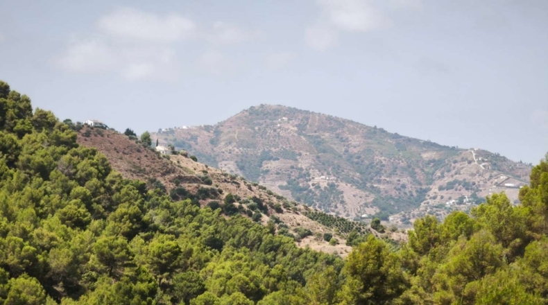 Málaga - Cómpeta - 371m2