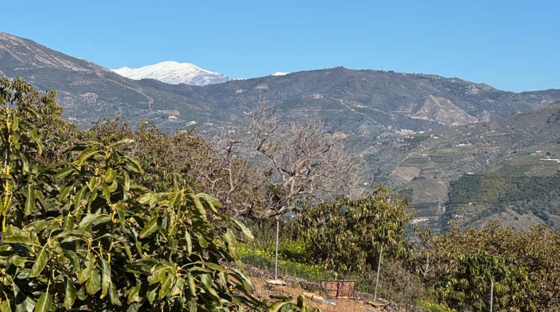 Granada - Almuñécar - 6370m2