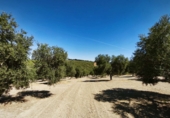 Non-developable land for sale in Ronda ref: TR345639 photo