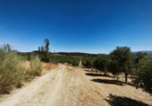 Non-developable land for sale in Ronda ref: TR345639 photo