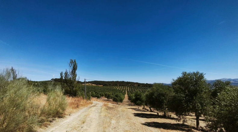 Málaga - Ronda - 502900m2