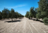 Non-developable land for sale in Ronda ref: TR345639 photo