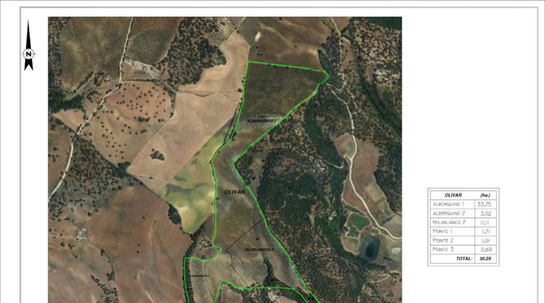 Málaga - Ronda - 502900m2