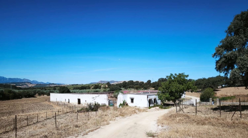 Malaga - Ronda - 337500m2