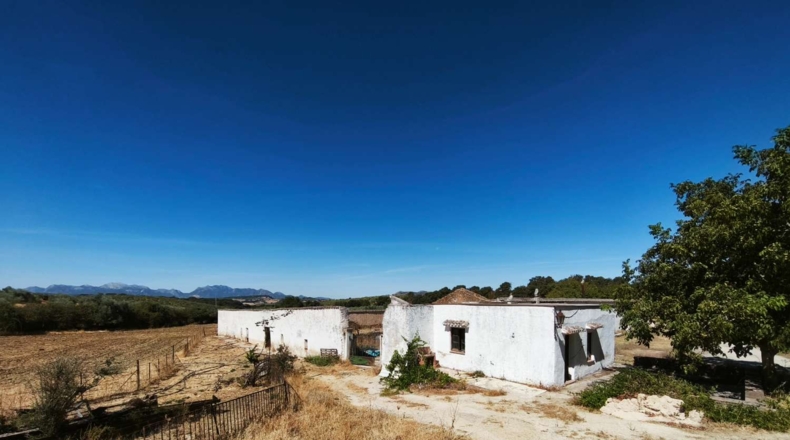 Malaga - Ronda - 337500m2
