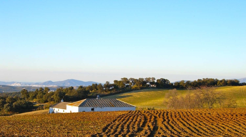 Malaga - Ronda - 337500m2