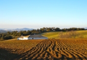 Vil·la amb terreny en venda a Ronda ref.: TR346546 foto