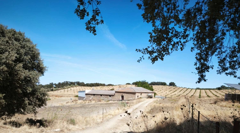 Malaga - Ronda - 840800m2