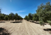 Vil·la amb terreny en venda a Ronda ref.: TR346546 foto