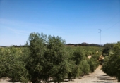 Vil·la amb terreny en venda a Ronda ref.: TR346546 foto