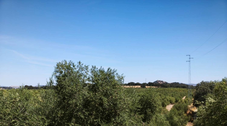 Malaga - Ronda - 840800m2