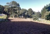 Casa de pueblo en venta en la Castrocán. , Samos, ref: TR73808 foto
