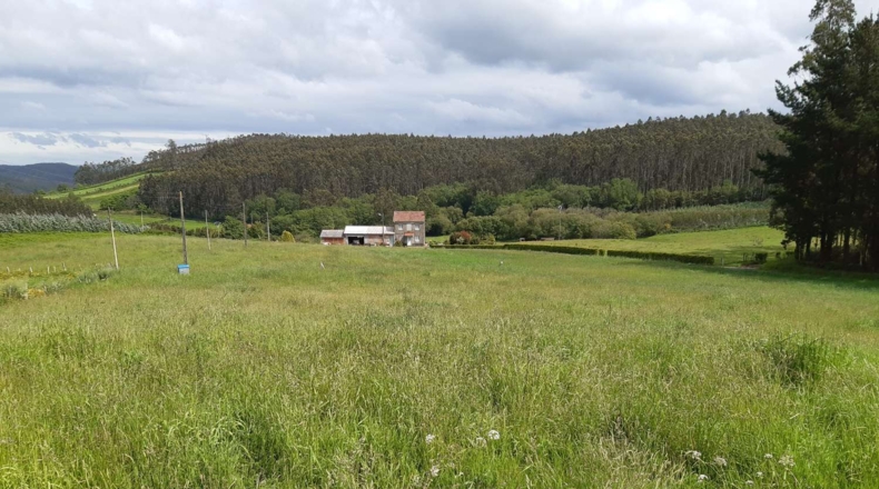 La Coruña - Cerdido - 5415m2