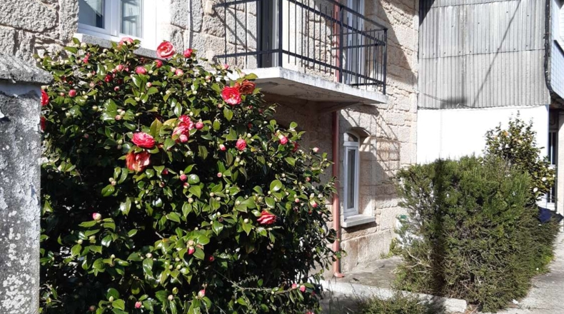 La Coruña - As Felgueiras - 1300m2