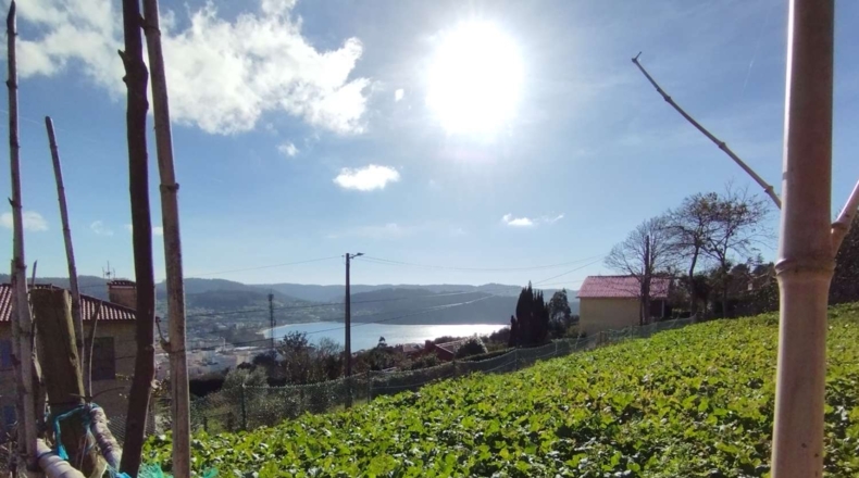 La Coruna - As Saíñas - 535m2