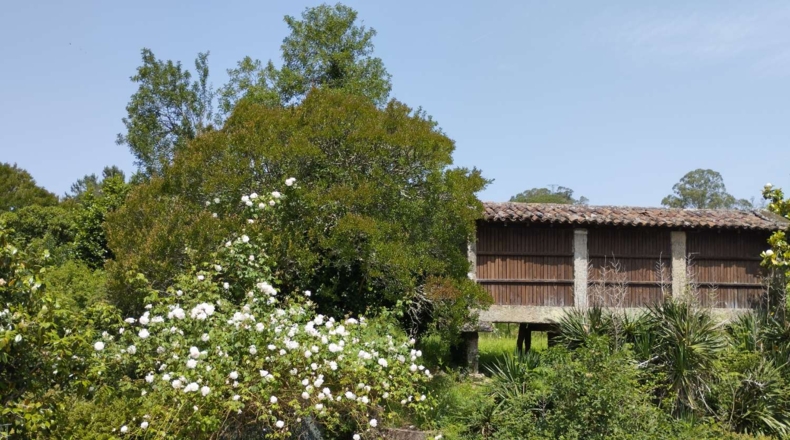 La Coruna - Roelle - 35000m2
