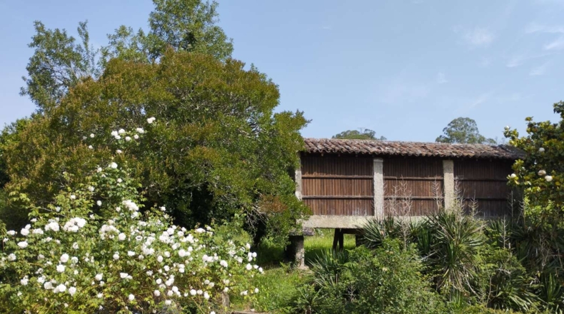 La Coruna - Roelle - 35000m2
