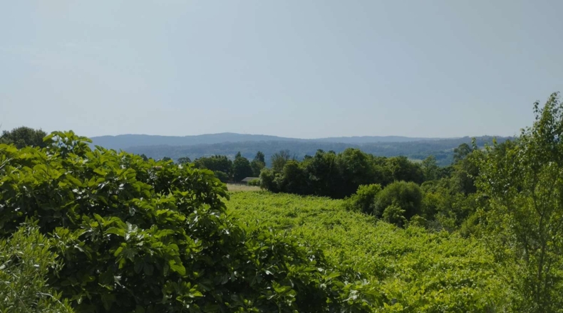 La Coruna - Roelle - 35000m2