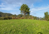 Casa de pueblo en venta en la Montefaro. 15550, Valdoviño, ref: TR182349 foto