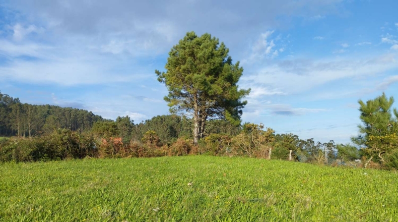 La Coruña - O Feal - 6166m2