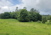 Land suitable for development for sale in Sobrado ref: TR225127 photo