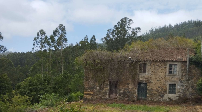 La Coruña - Cerdido - 3893m2