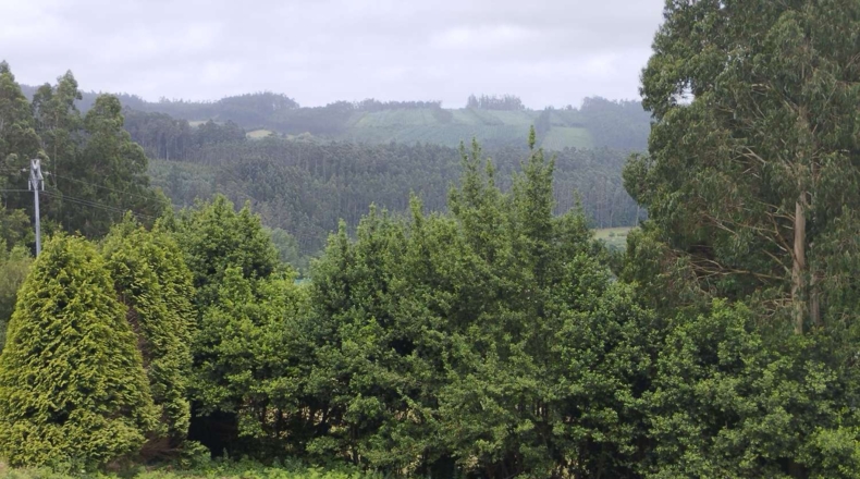 La Coruña - Cerdido - 3893m2