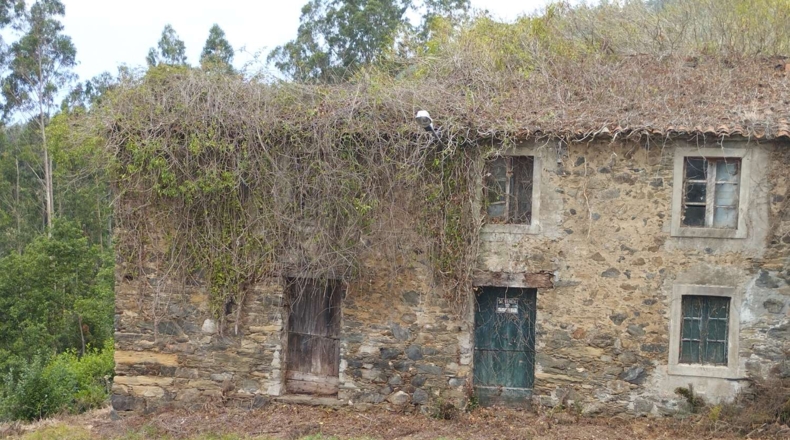 La Coruña - Cerdido - 3893m2