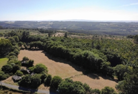 Begonte 41681&nbsp;m² 