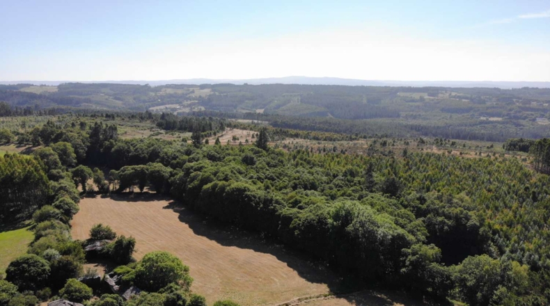 Lugo - A Aldea - 41681m2