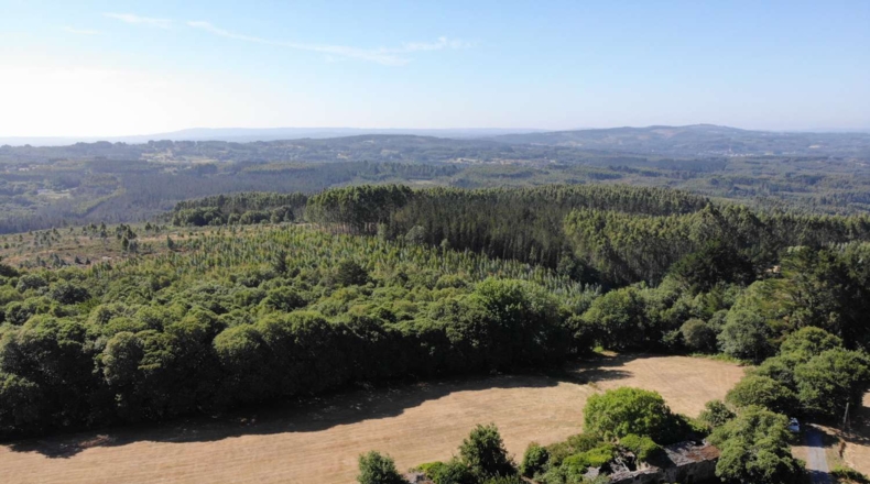Lugo - A Aldea - 41681m2