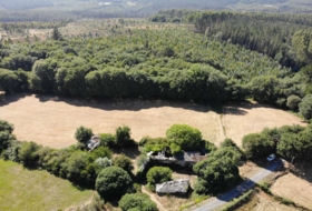 Begonte 41681&nbsp;m² 