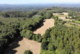 Begonte 41681&nbsp;m² 