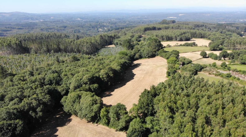 Lugo - A Aldea - 41681m2