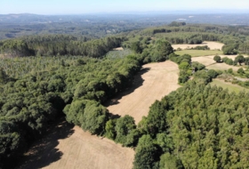 Begonte 41681&nbsp;m² 