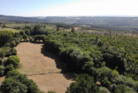 Begonte 41681&nbsp;m² 