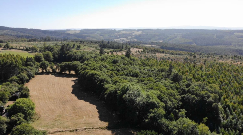 Lugo - A Aldea - 41681m2