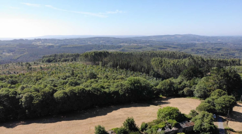 Lugo - A Aldea - 41681m2