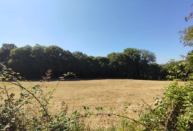 Begonte 41681&nbsp;m² 