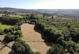 Begonte 41681&nbsp;m² 