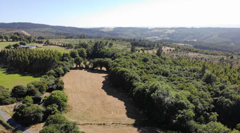 Lugo - A Aldea - 41681m2