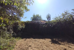 Begonte 41681&nbsp;m² 